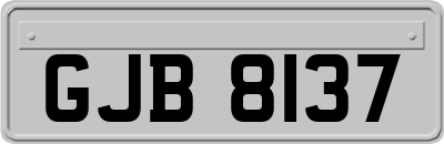 GJB8137