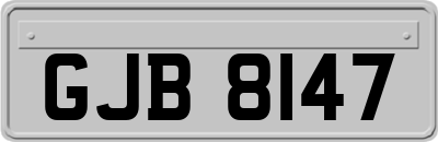 GJB8147