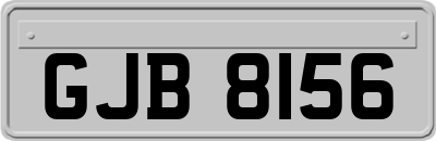 GJB8156
