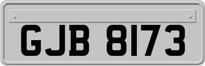 GJB8173