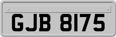 GJB8175