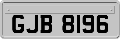GJB8196