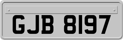 GJB8197