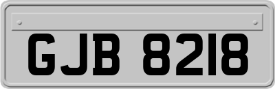 GJB8218