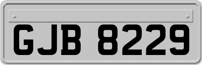 GJB8229