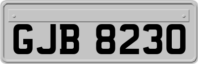 GJB8230