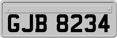 GJB8234