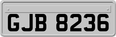 GJB8236