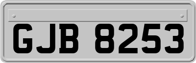GJB8253