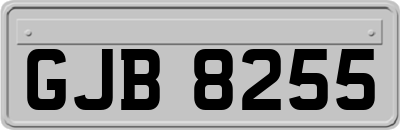 GJB8255