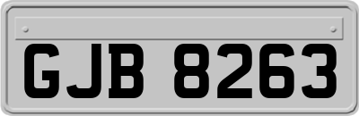 GJB8263
