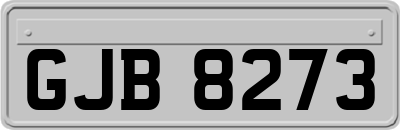 GJB8273