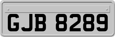 GJB8289