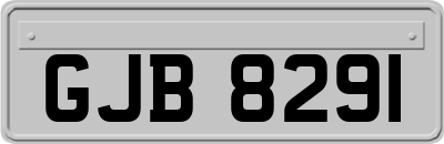 GJB8291