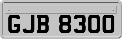 GJB8300
