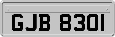 GJB8301