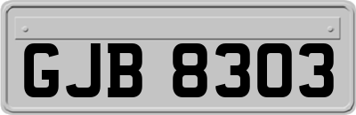 GJB8303