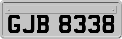 GJB8338
