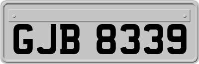 GJB8339
