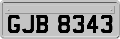 GJB8343