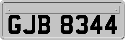 GJB8344