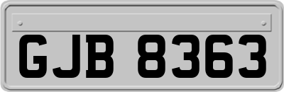 GJB8363