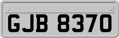 GJB8370