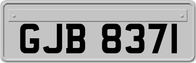 GJB8371