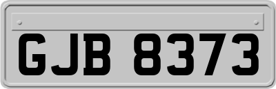 GJB8373
