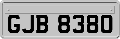 GJB8380