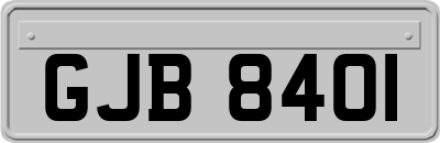 GJB8401