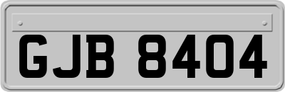 GJB8404