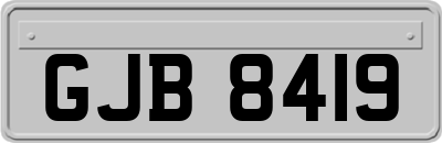 GJB8419
