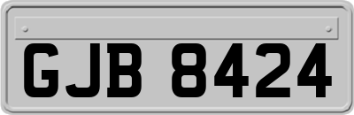 GJB8424