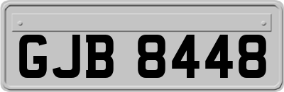 GJB8448