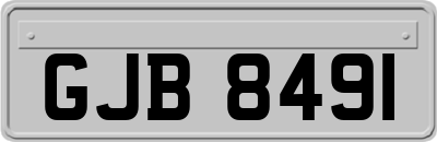 GJB8491