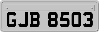 GJB8503