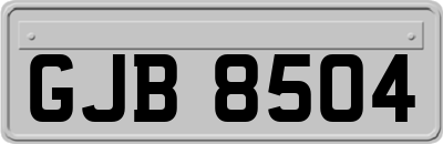 GJB8504