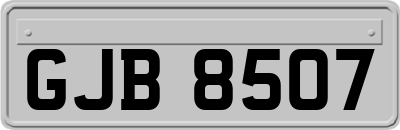 GJB8507