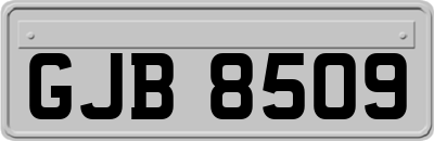 GJB8509