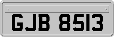 GJB8513