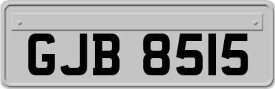 GJB8515