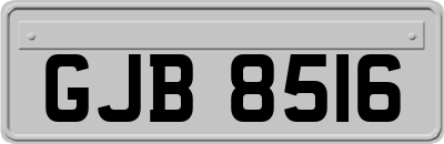 GJB8516