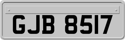 GJB8517