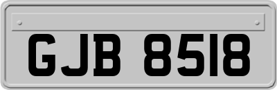 GJB8518