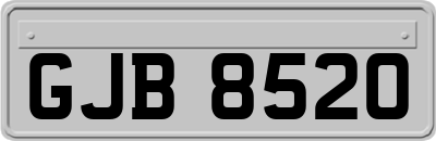 GJB8520