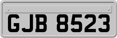 GJB8523