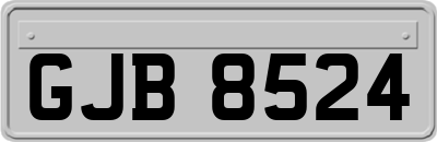 GJB8524