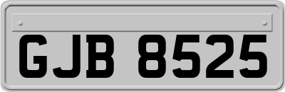 GJB8525