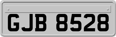 GJB8528